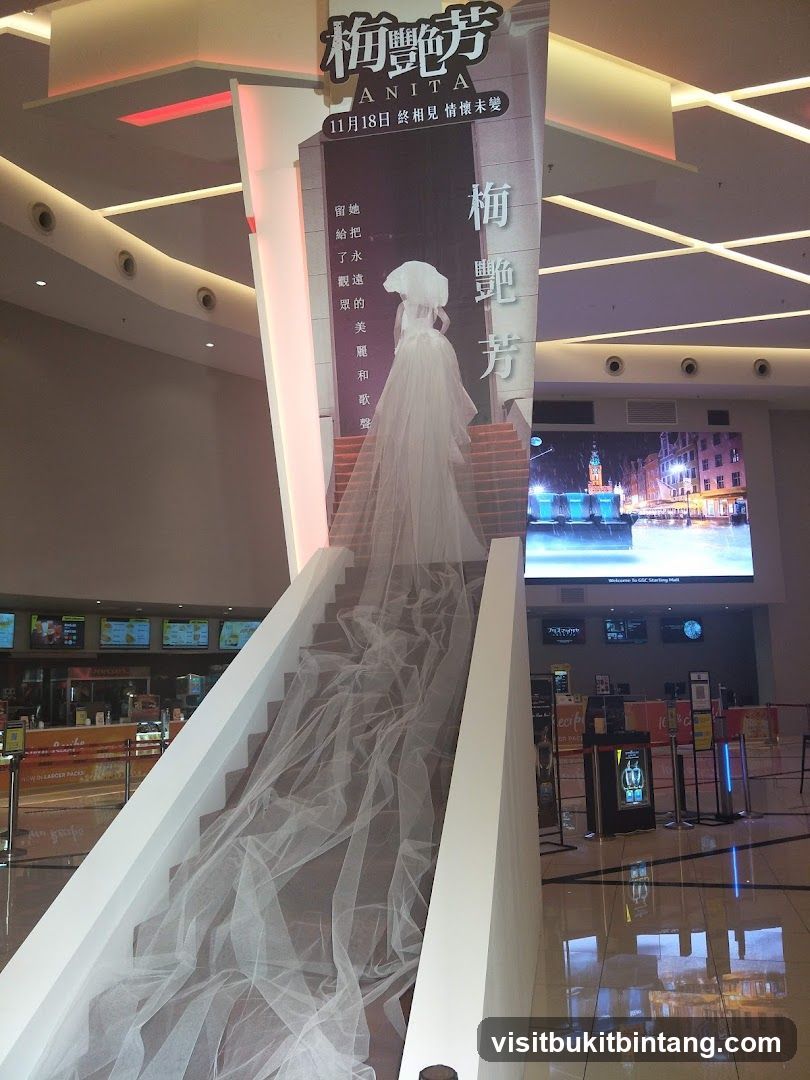 Anita movie promotion