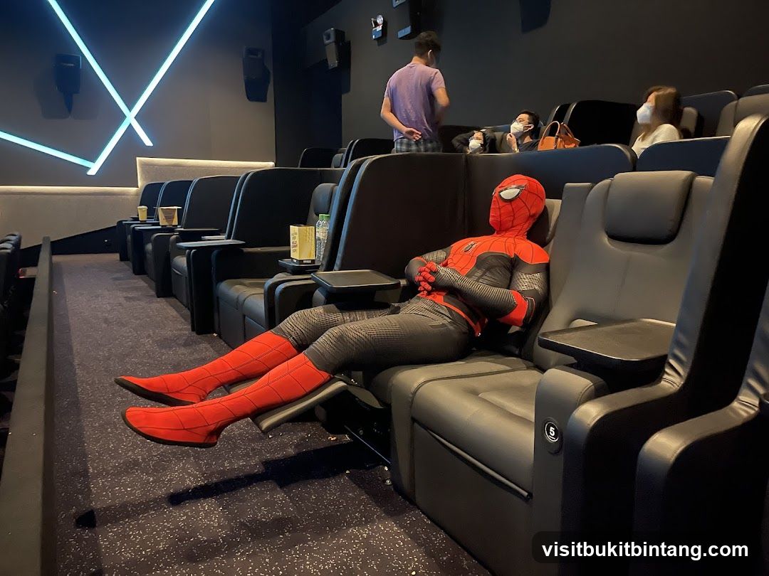 Man in Spiderman Costume in Cinema