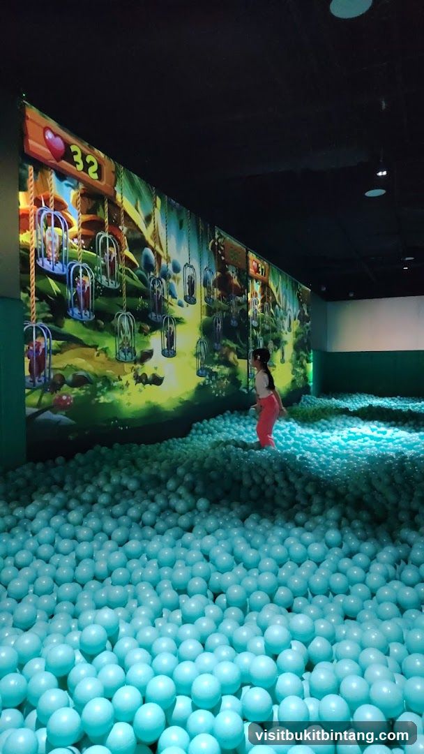Ball Pit with Interactive Wall