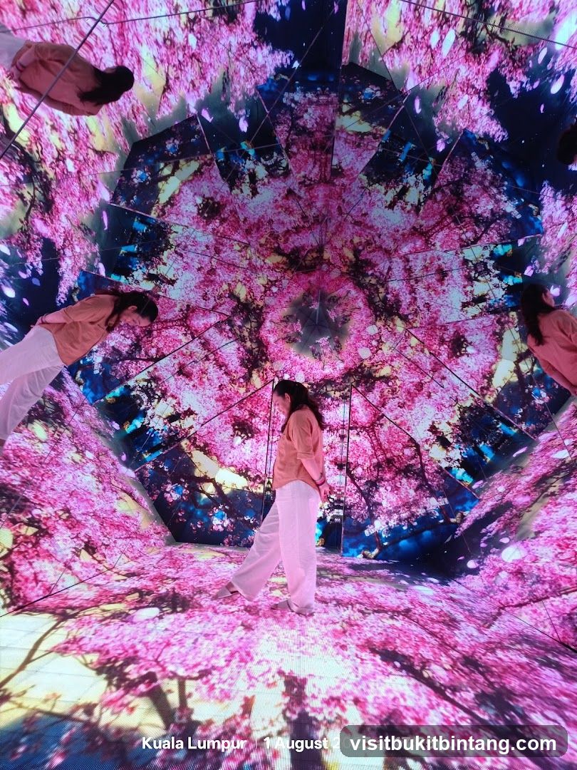 Interactive Digital Art Installation