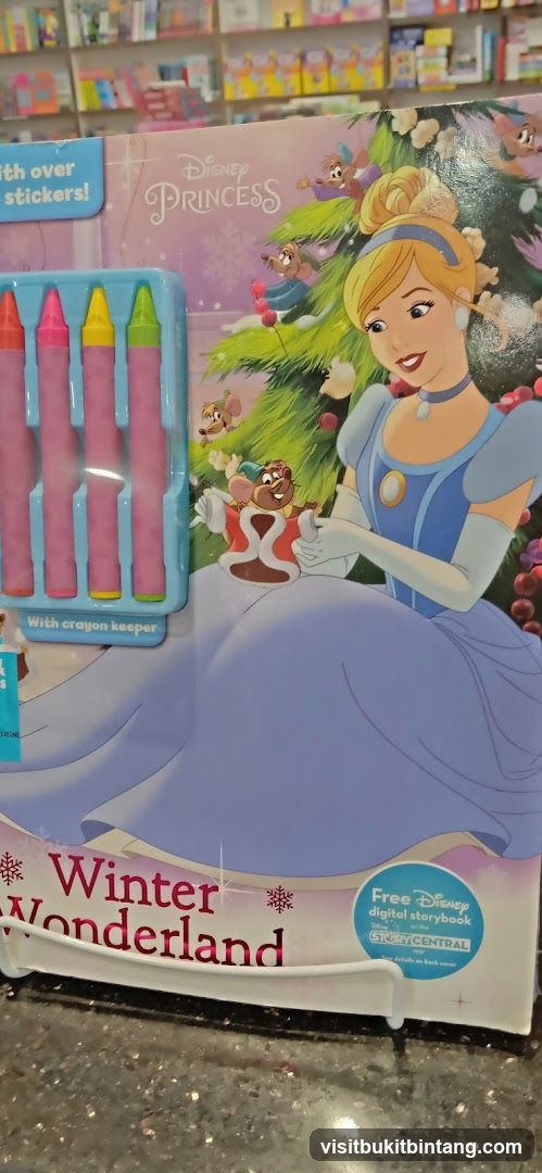 Disney Princess Winter Wonderland Activity Book