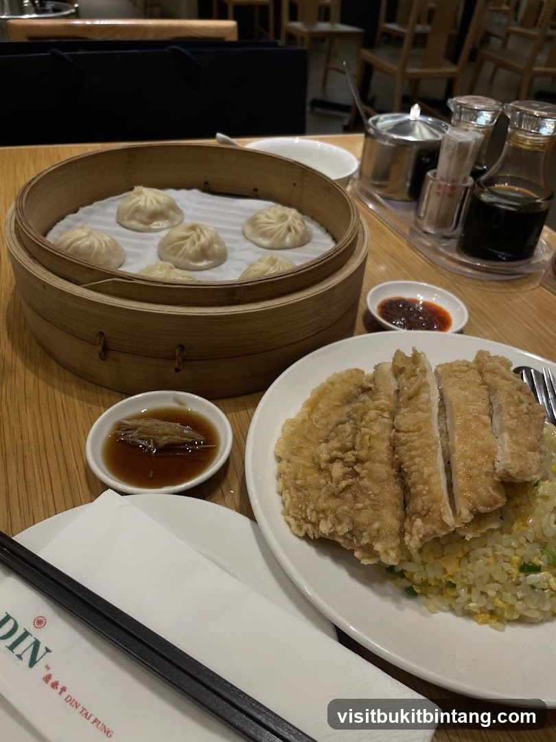 Soup Dumplings and Fried Chicken with Rice