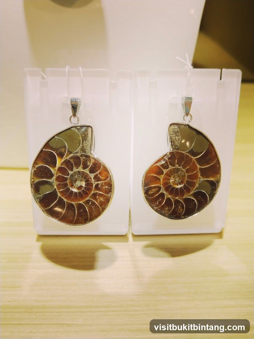 Ammonite Pendants