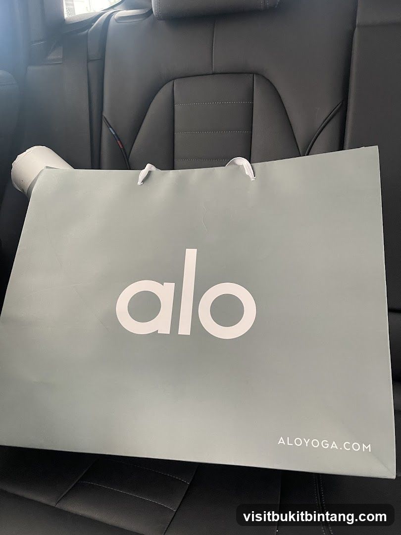 Shopping Bag