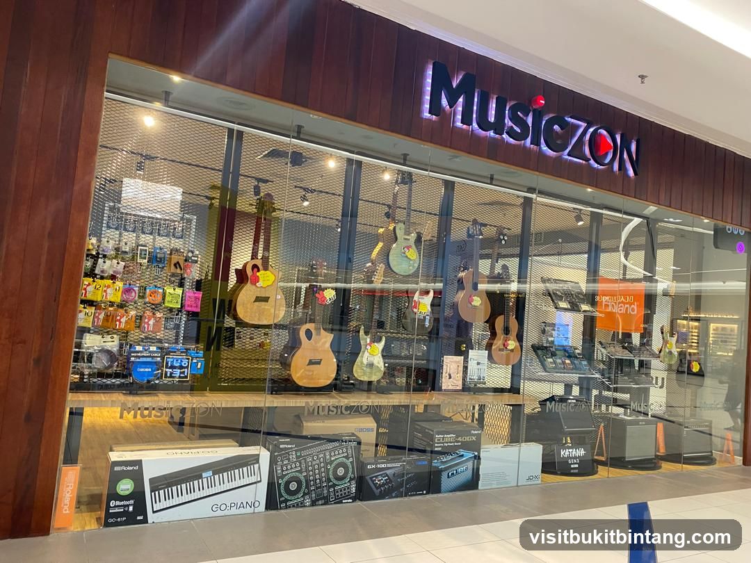 MusicZON