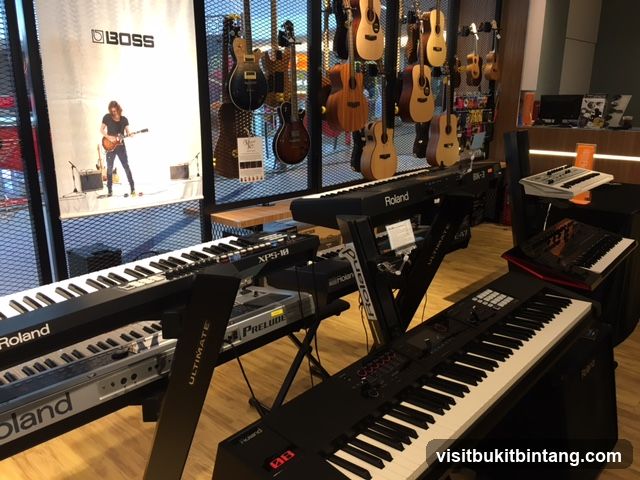 Musical Instruments Store