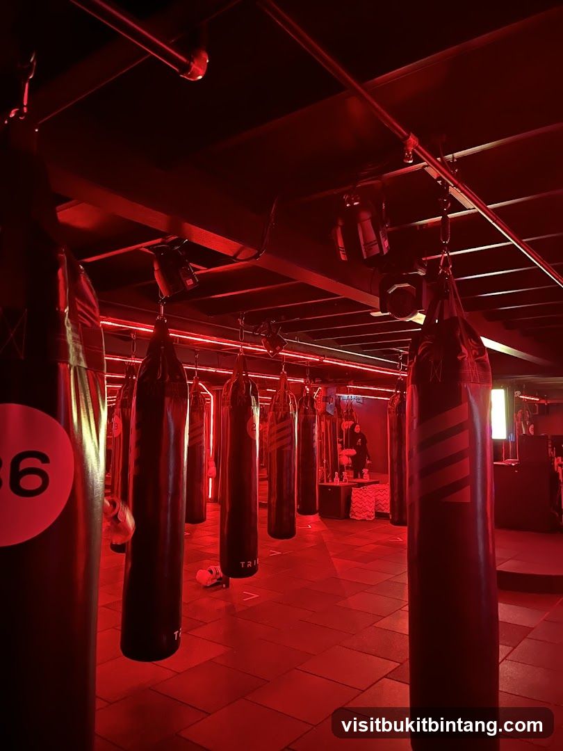 TRIBE Boxing Studio - IOI Mall Damansara