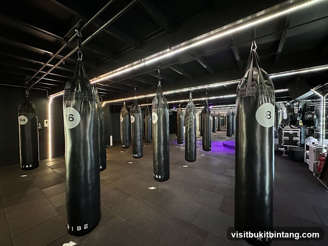 TRIBE Boxing Studio - IOI Mall Damansara