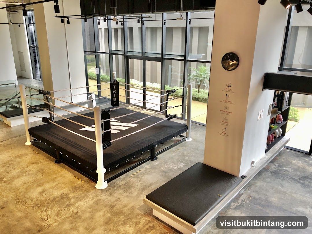 Boxing Ring and Gym Interior