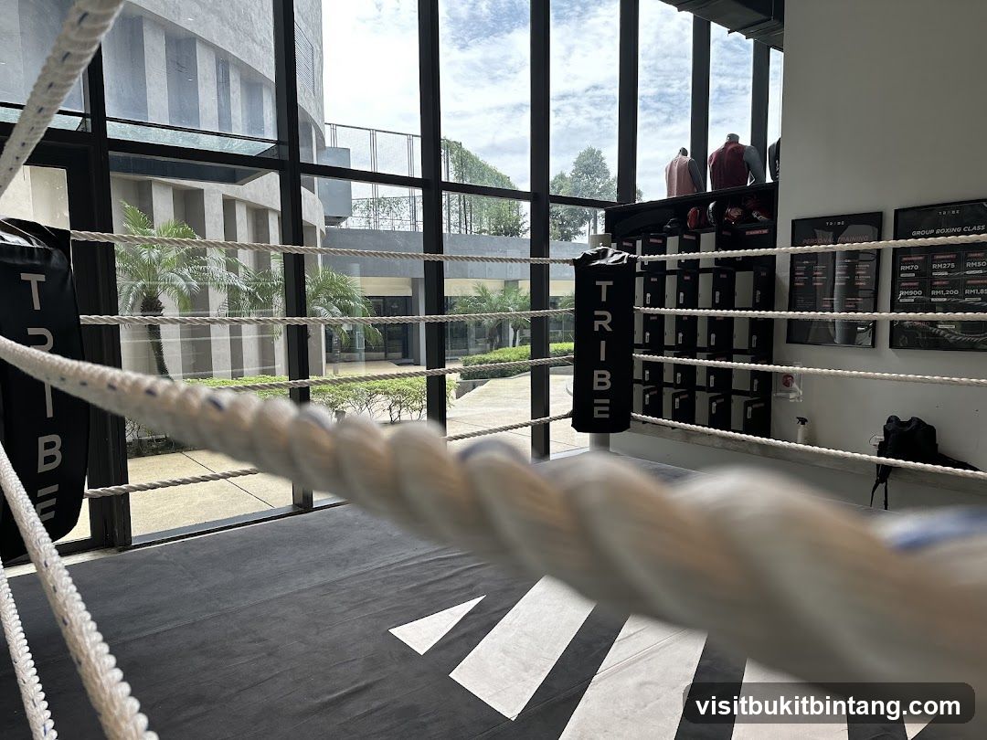 Boxing Ring Interior
