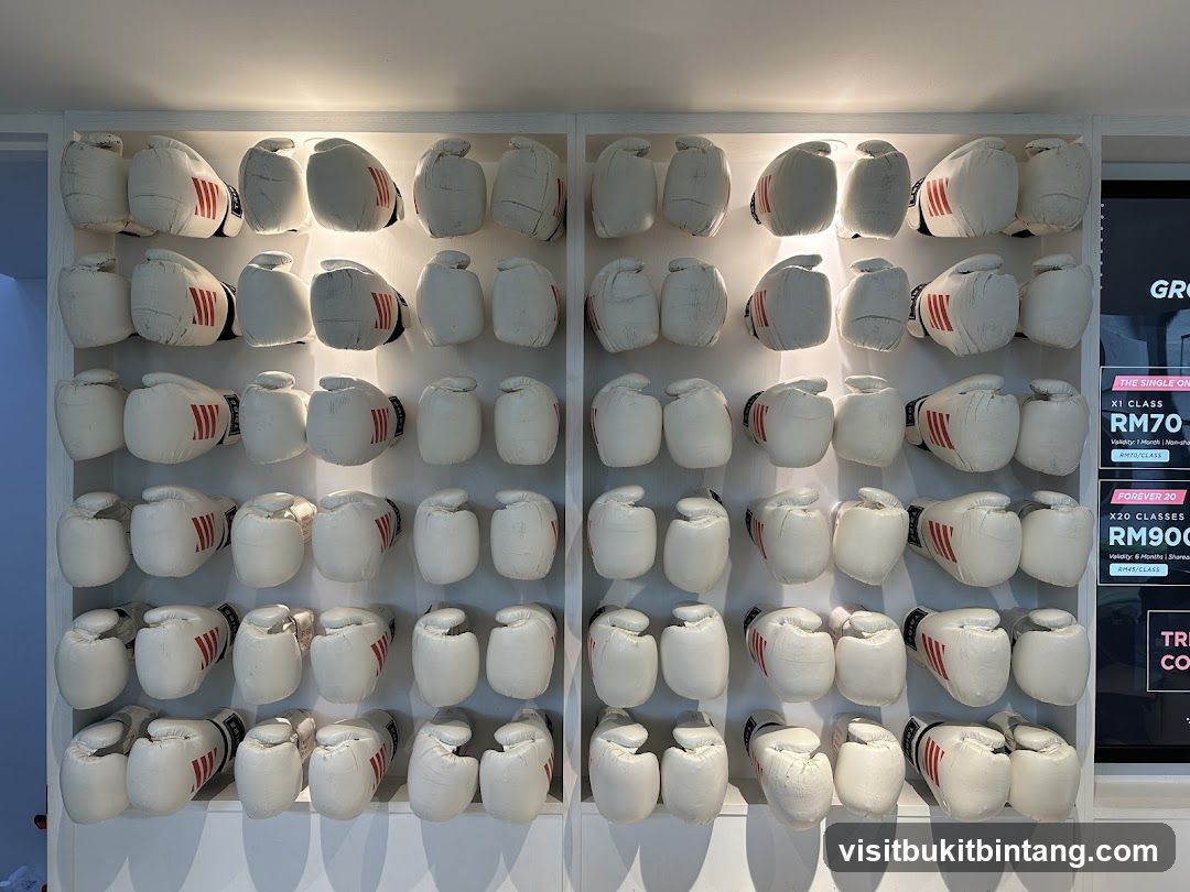 Boxing Gloves Display