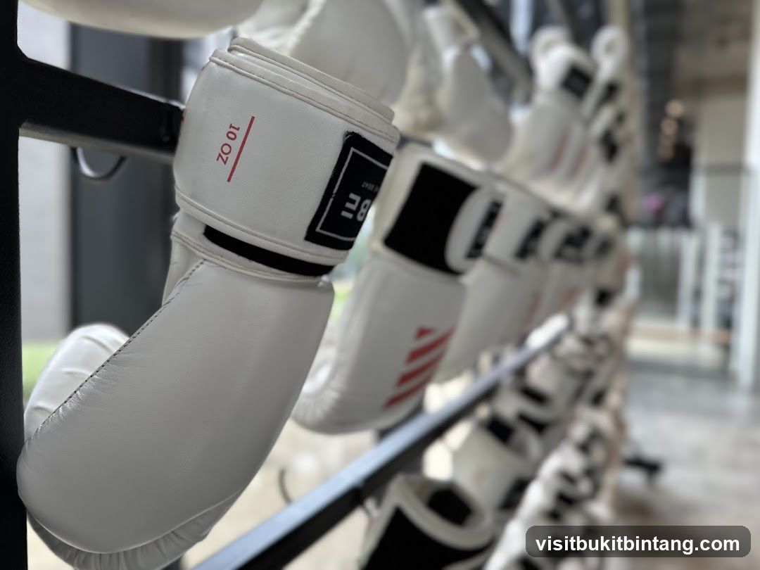 Boxing Gloves on Rack