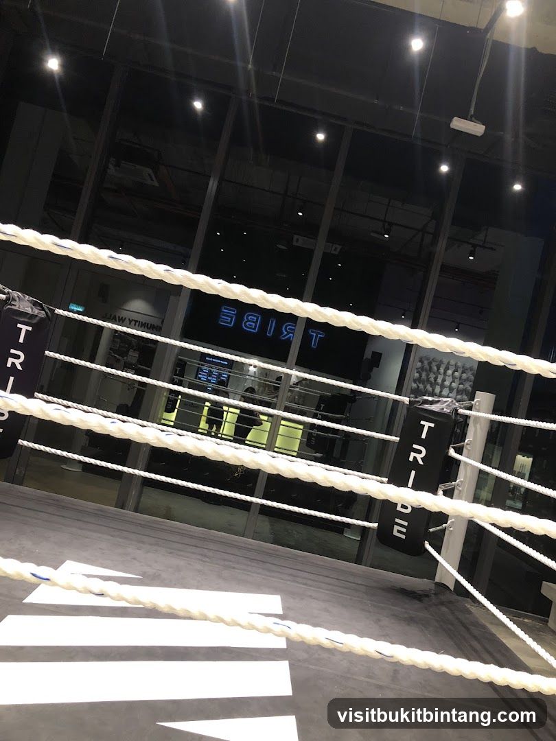 Boxing Ring Interior