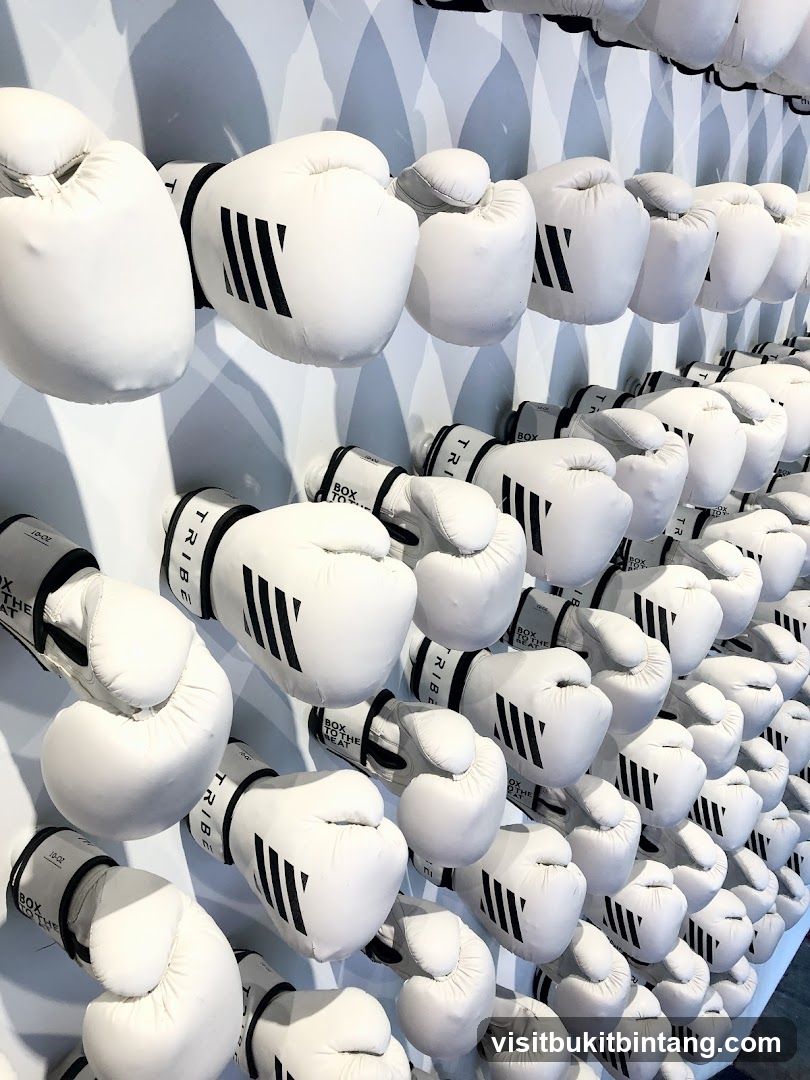 Boxing Gloves Display