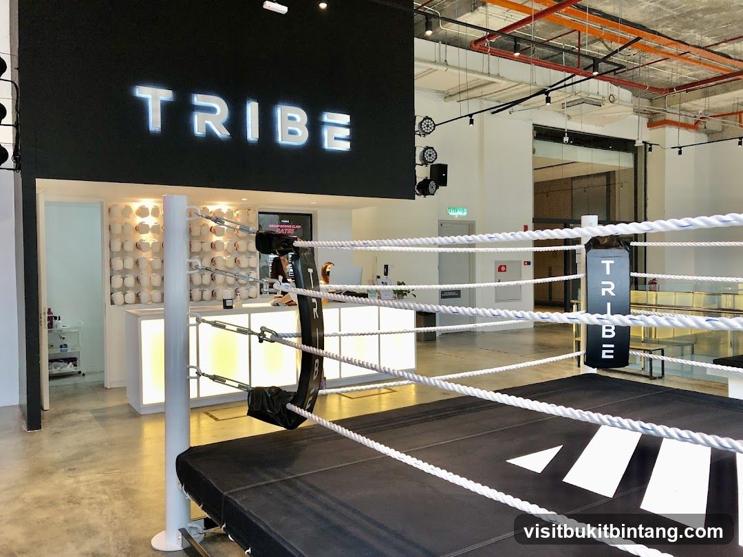 Tribe Boxing Ring