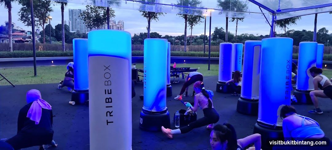 Fitness Class with Inflatable Punching Bags