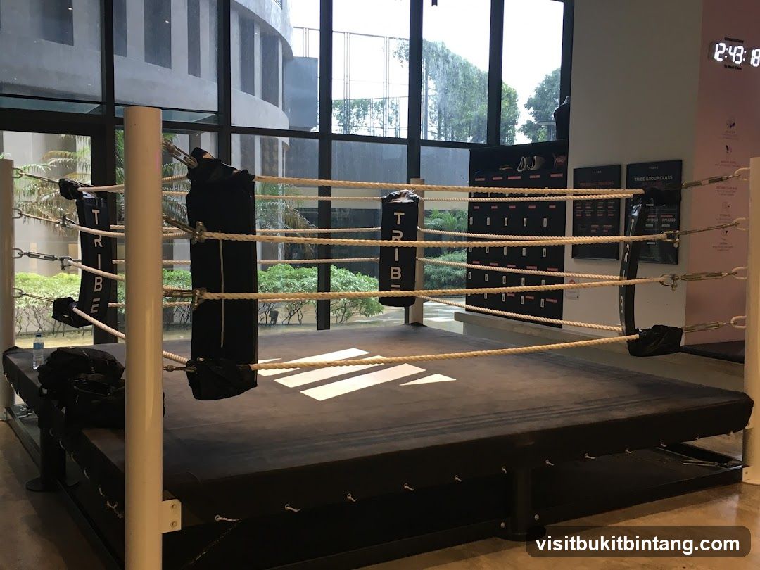 Boxing Ring