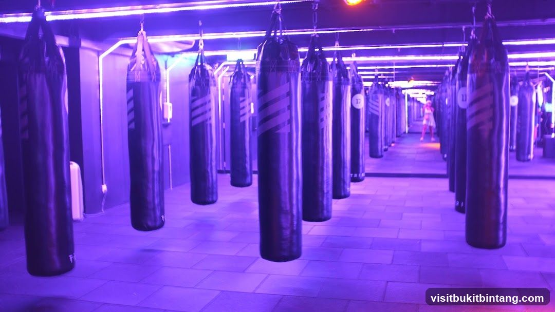 Boxing Studio