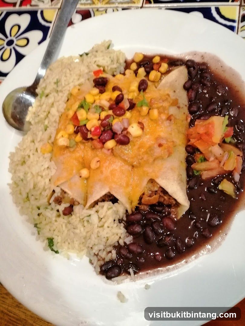 Enchiladas with Rice and Beans