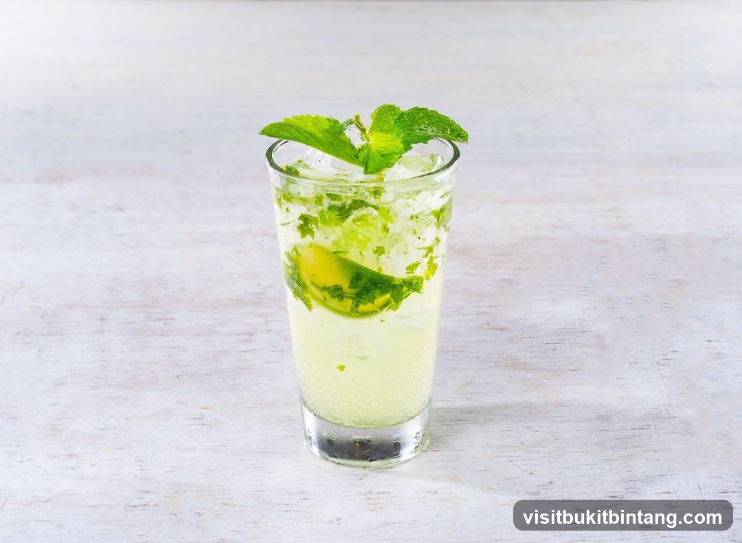 Mojito Cocktail