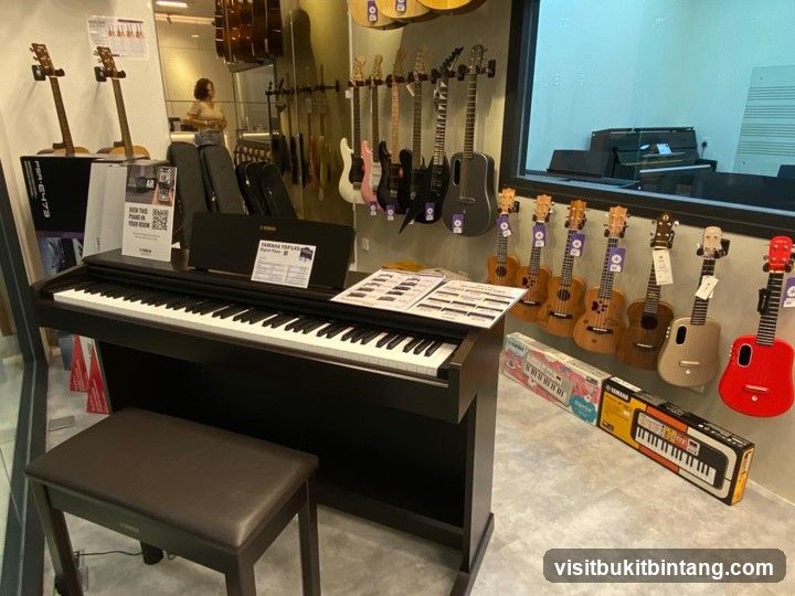 Musical Instruments Display