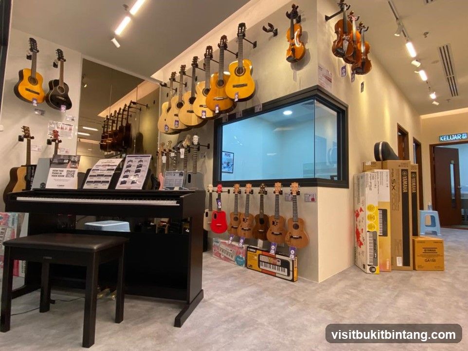 Musical Instrument Store Display