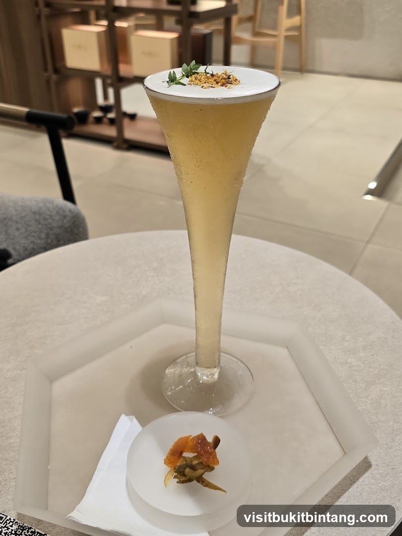 Cocktail and Appetizer