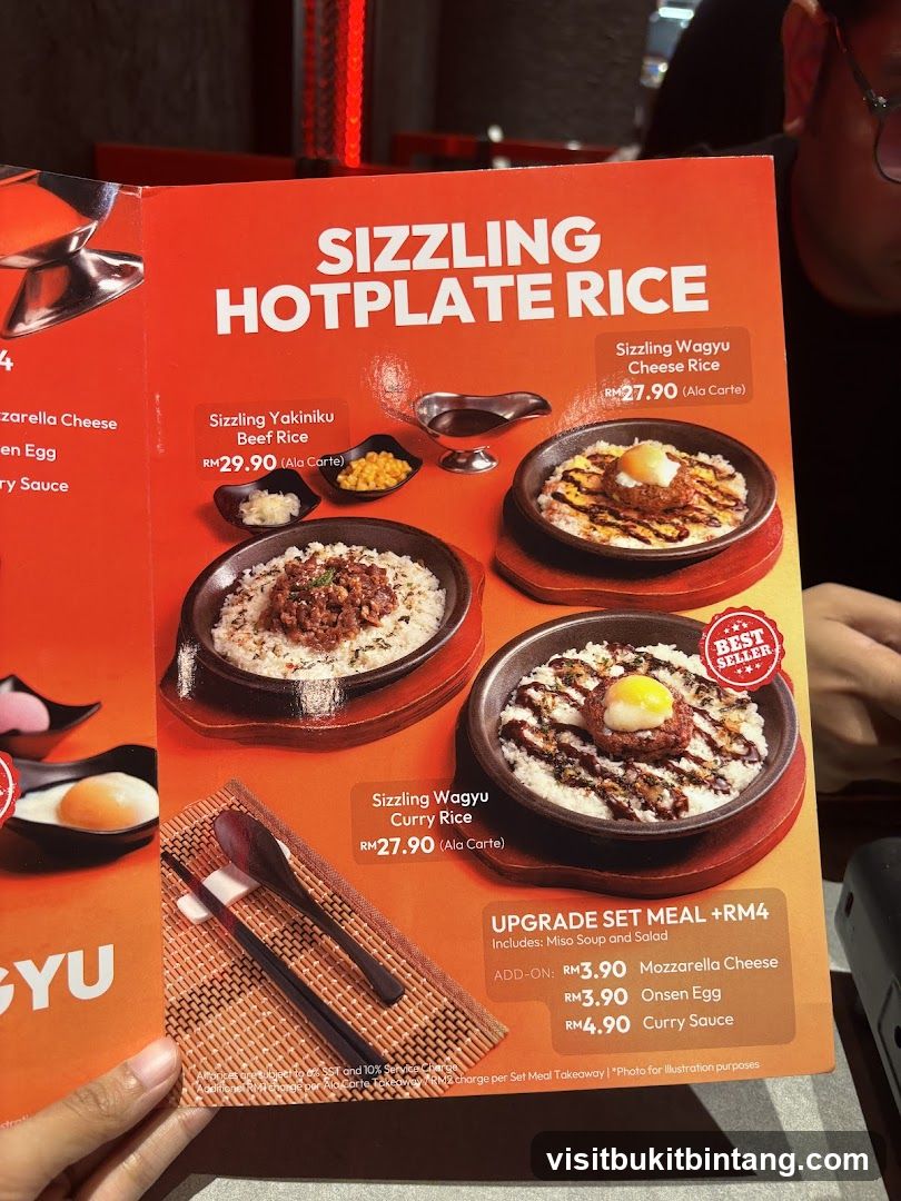 Sizzling Hotplate Rice