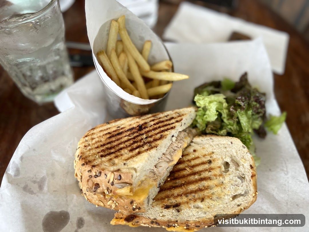 Grilled Sandwich with Fries and Salad