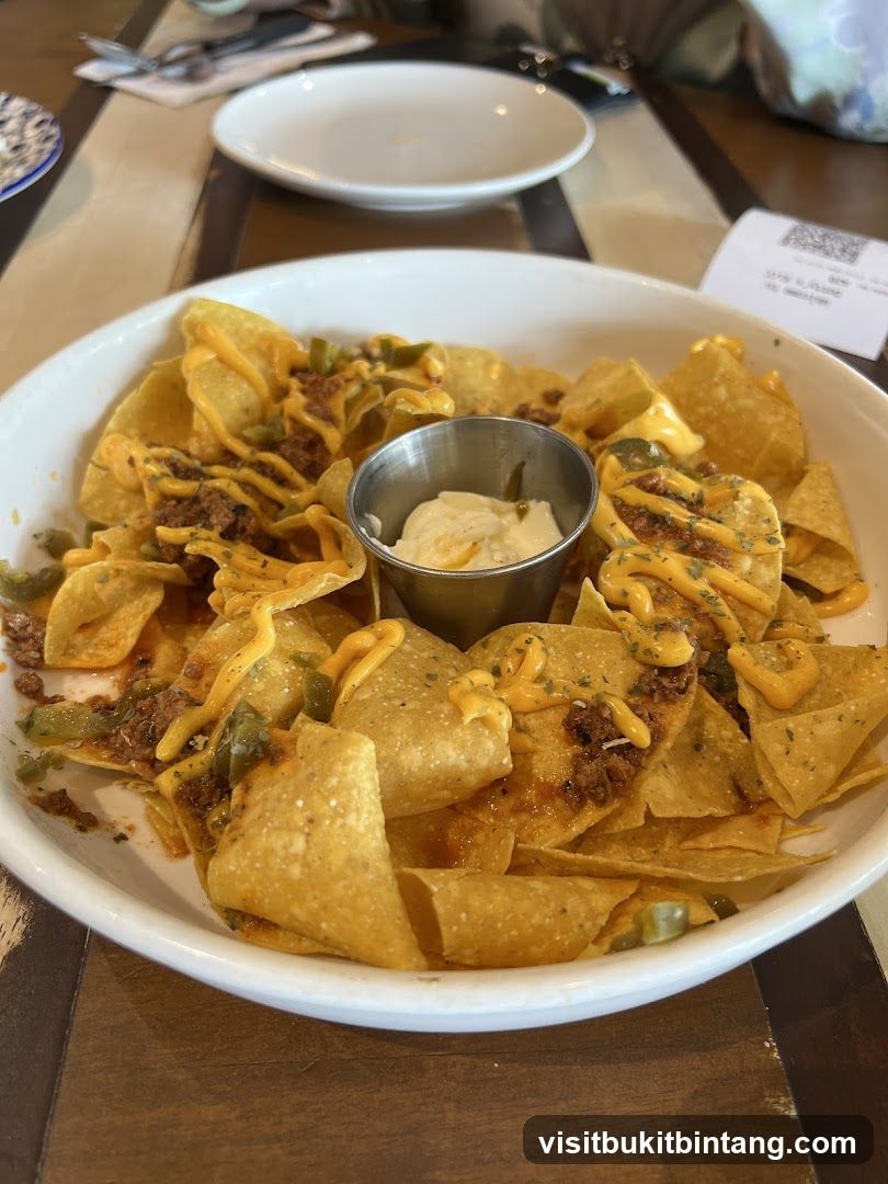 Nachos with cheese and meat