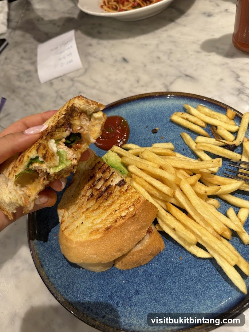 Sandwich and Fries