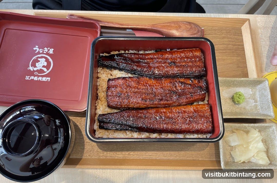 Unagi Donburi