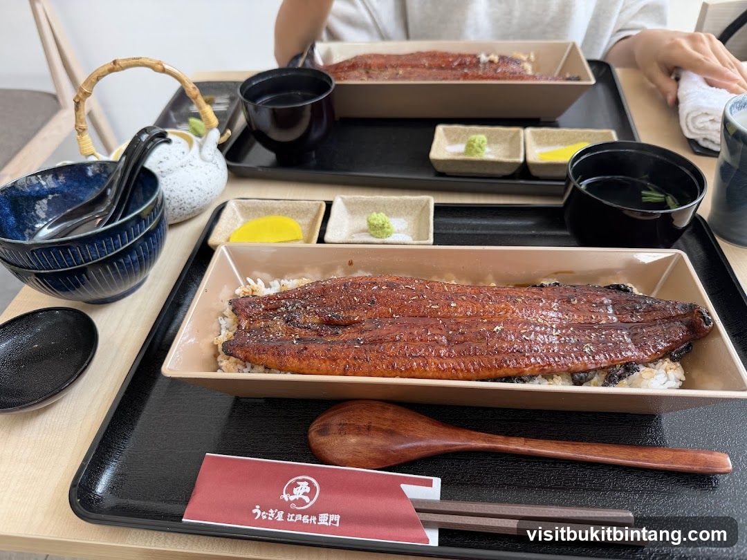 Unagi Donburi