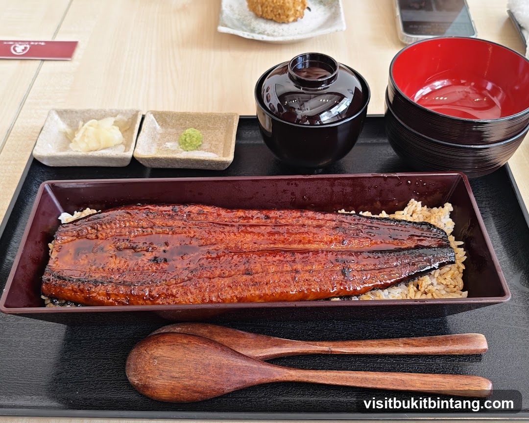Unagi Donburi