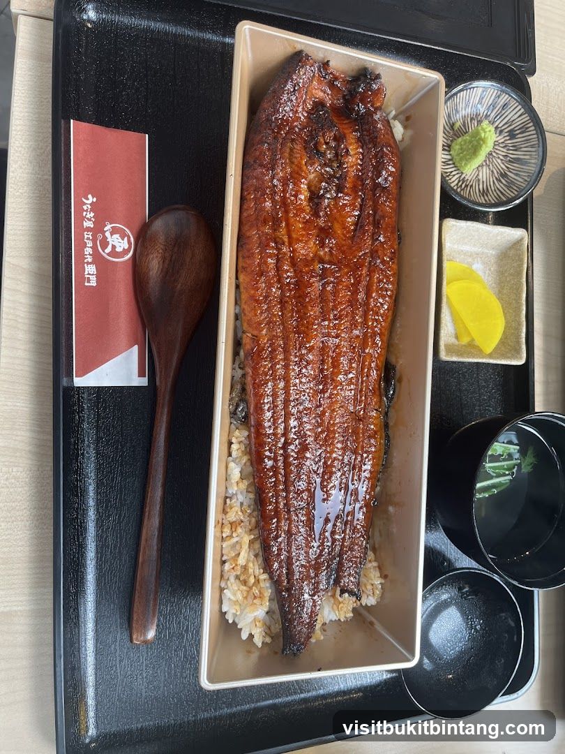 Unagi Donburi