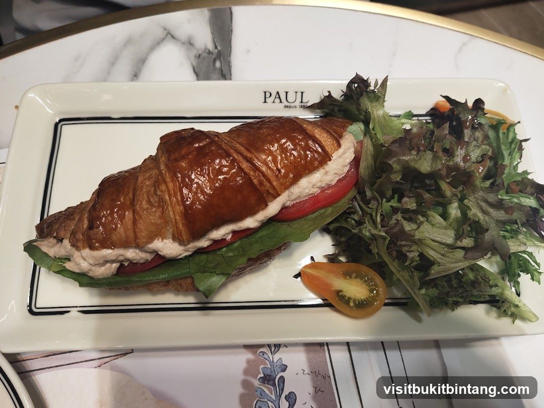 Croissant Sandwich with Salad