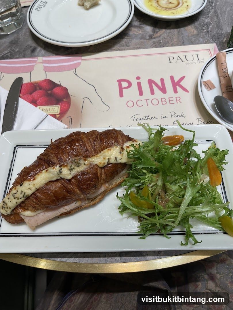 Croissant Sandwich with Salad