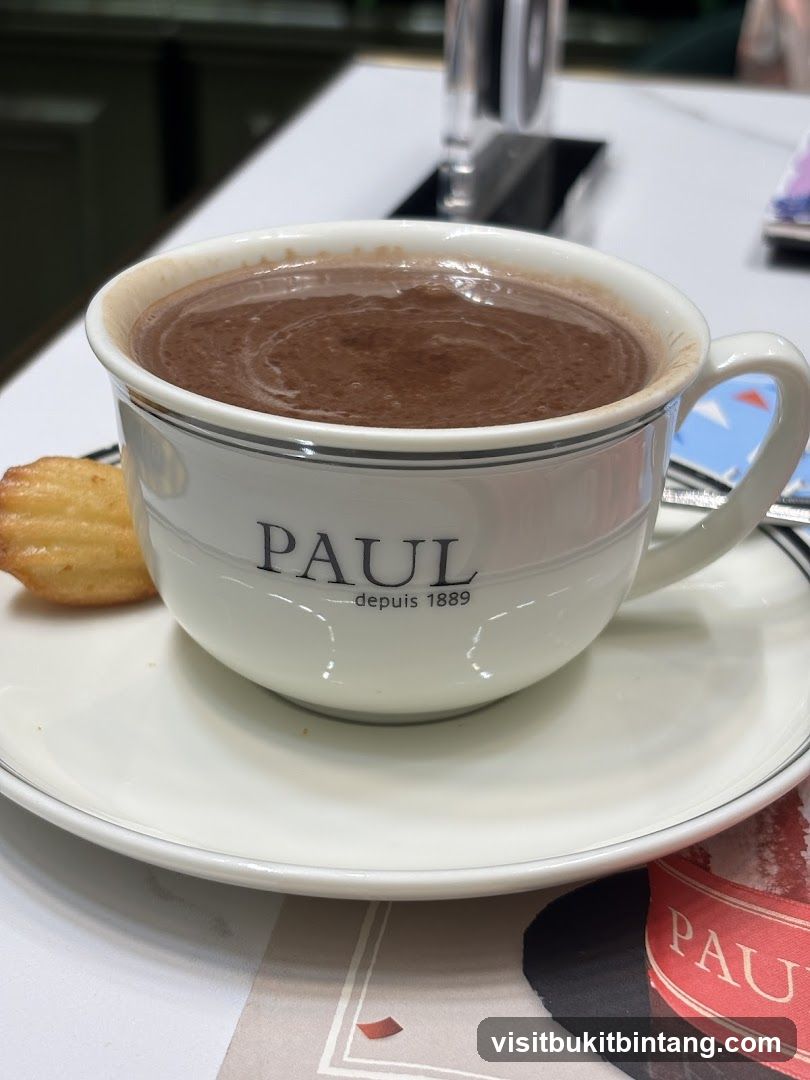 Hot Chocolate and Madeleine
