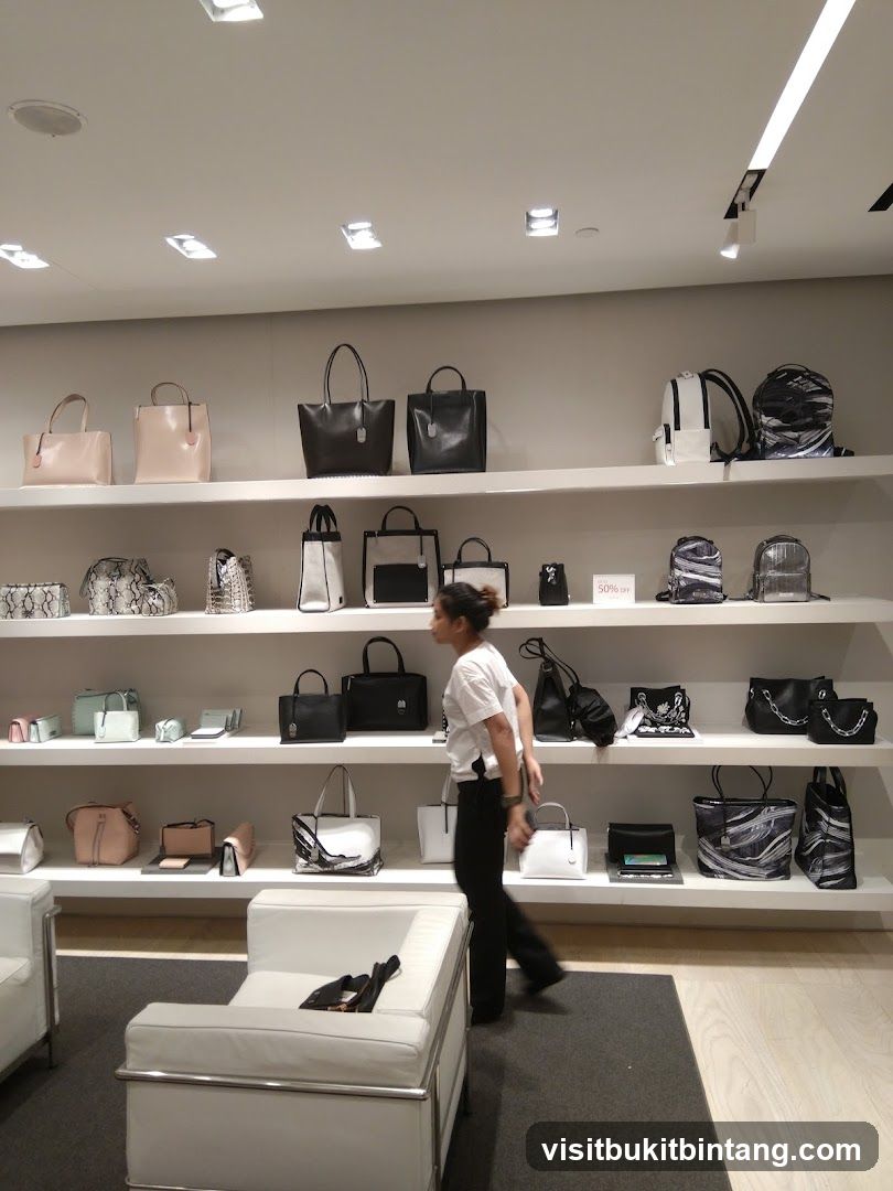 Handbag Display