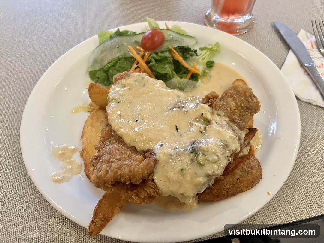 Fried Chicken with Gravy and Salad