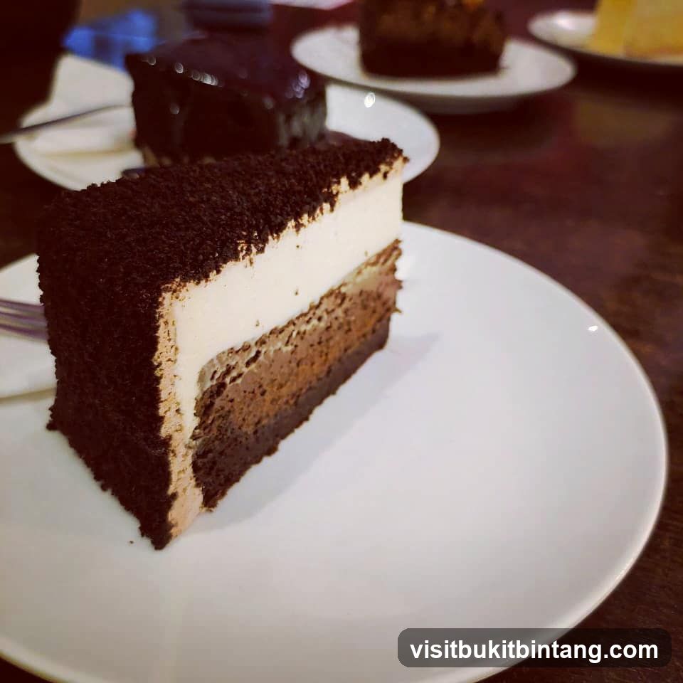 Chocolate Cake Slice