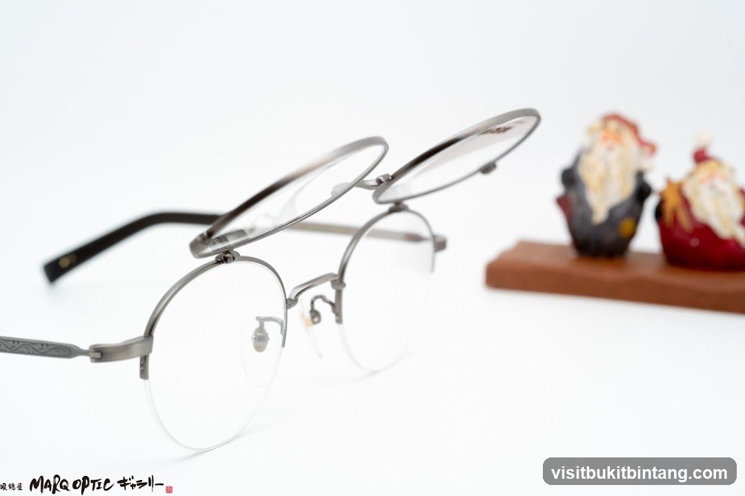 Eyeglasses with Flip-Up Lenses