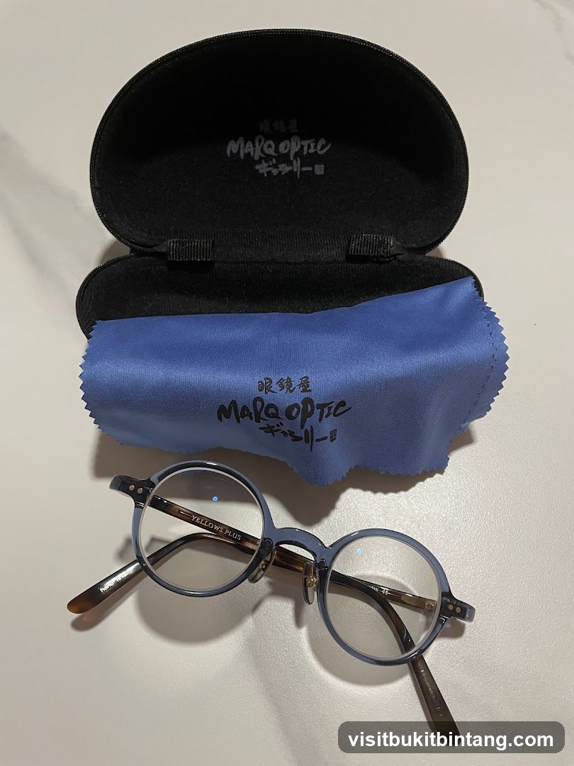 Eyeglasses and Case