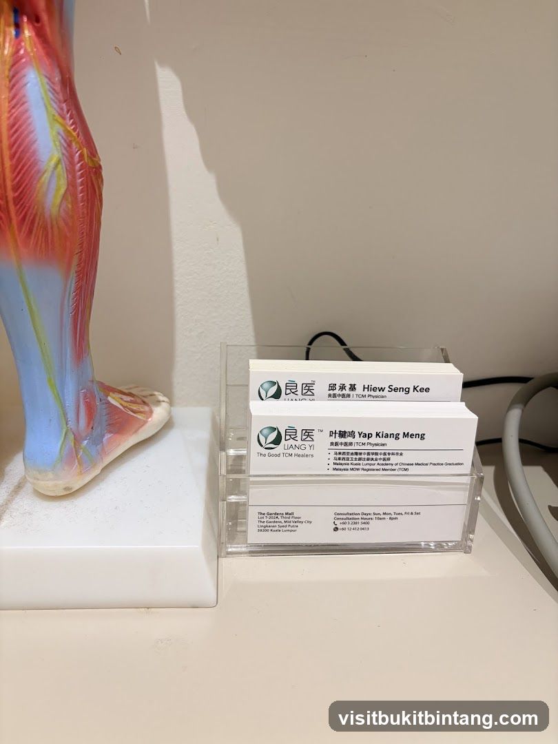 Business Cards and Anatomical Model