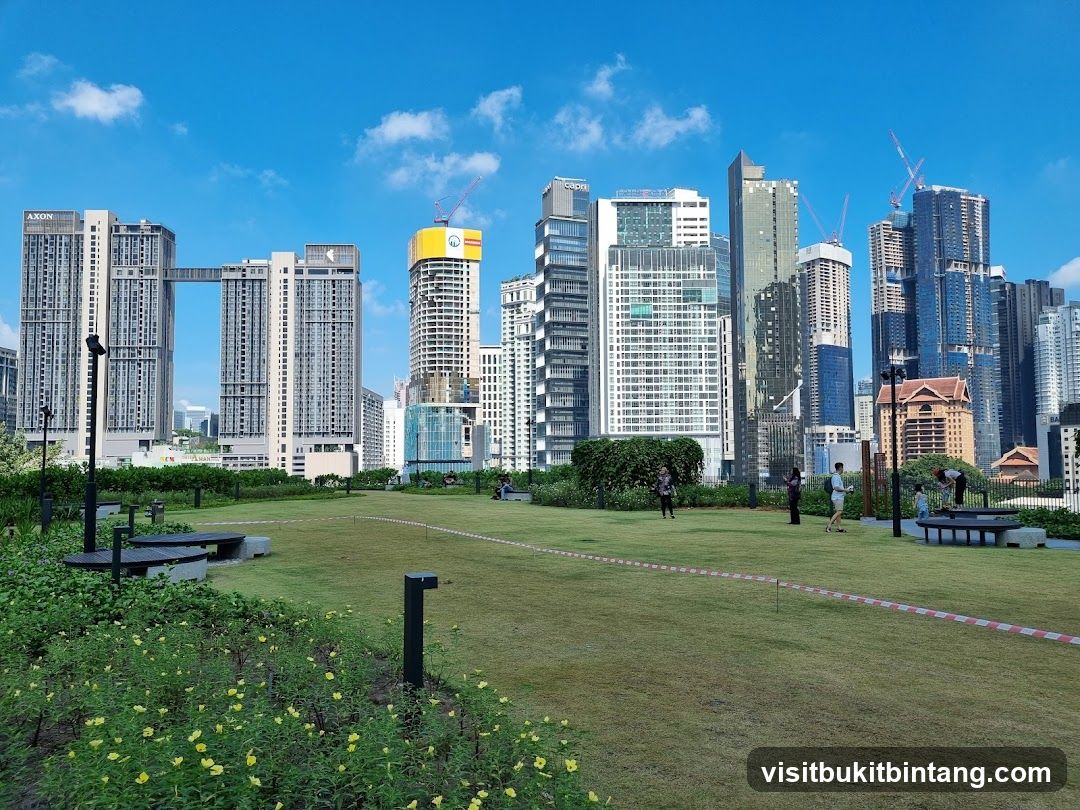 Rooftop park with city skyline