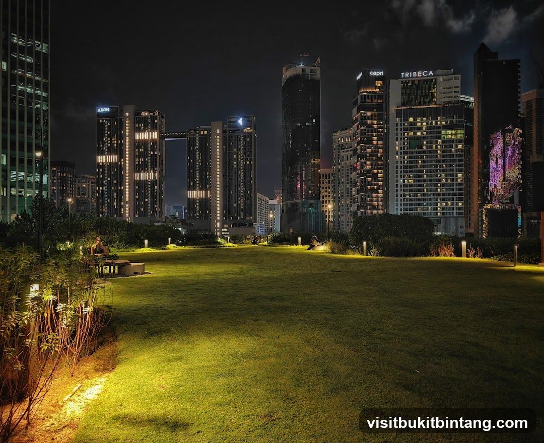 Cityscape at Night with Park