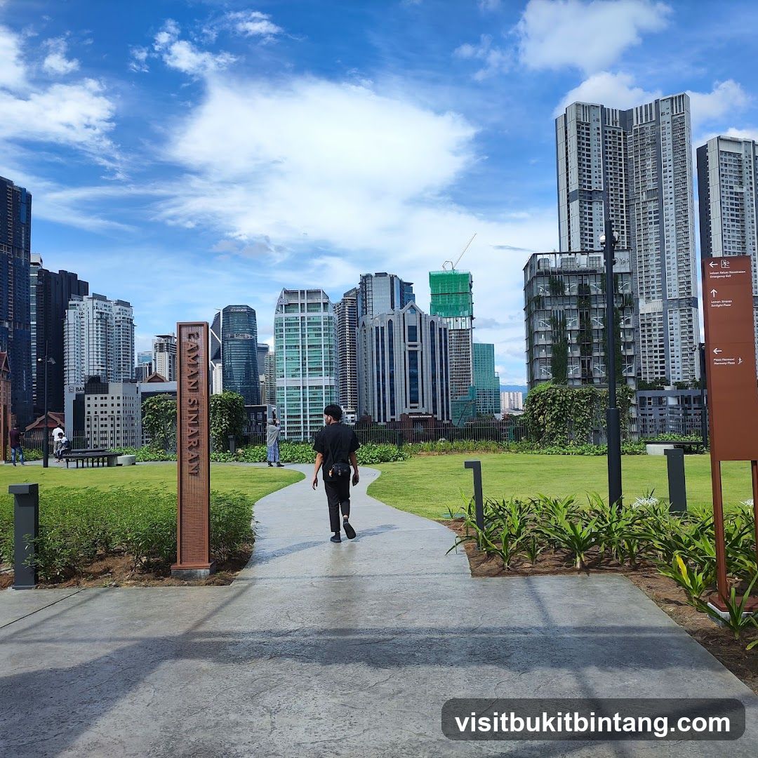 Park with City Skyline