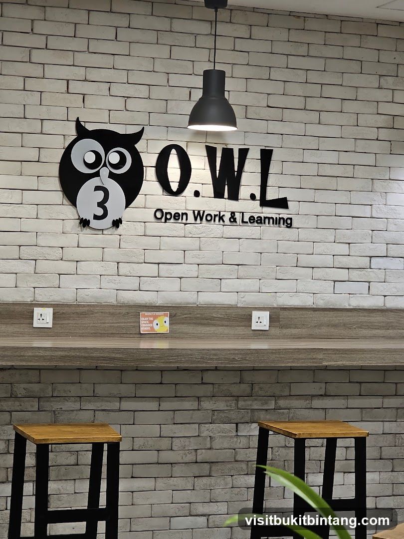 O.W.L. Open Work & Learning
