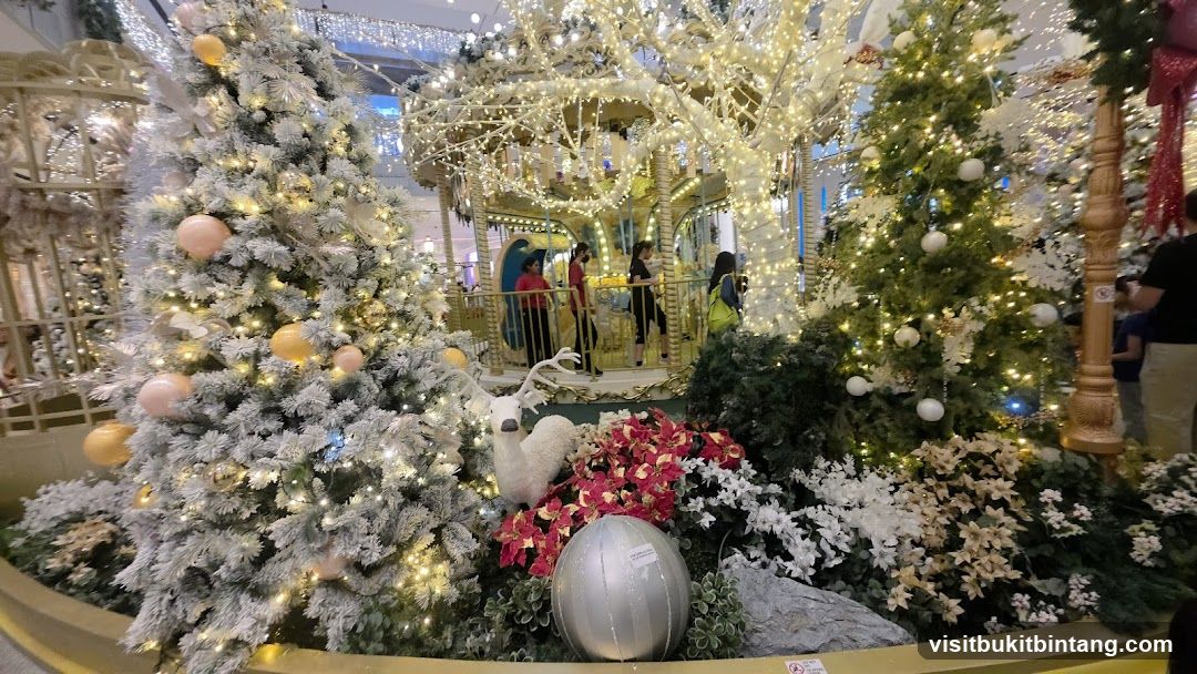 Christmas Display with Carousel