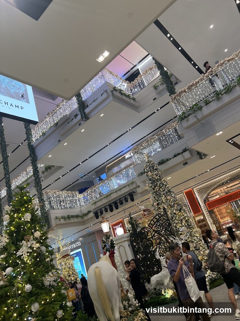 Mall Interior with Christmas Decorations